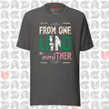 Nigeria-American flag t-shirt in asphalt